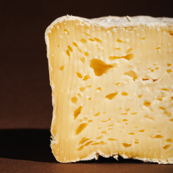 Queijo da Serra da Arrábida de Vaca Jersey 1